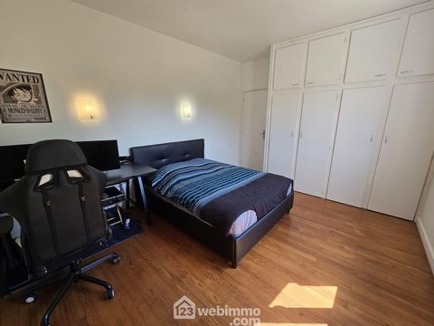 photo no. 11