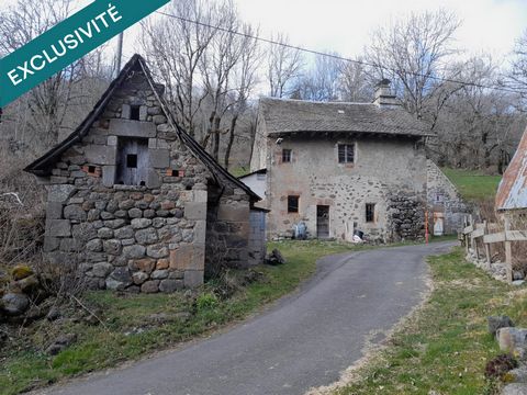 photo no. 12