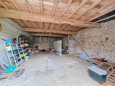photo no. 19