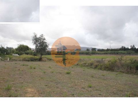 Land with 18000m2, inserted in industrial area and with more than 4000m2 industrialized. Located about 1km from access to the A16 in Fervença, excellent access to any type of vehicle. Very good investment for warehouse construction, for example. Be s...