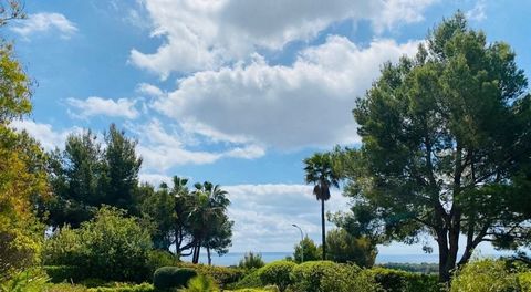 Today we present you a 1600 m2 plot to build a luxury villa in the southwest of the island of Mallorca in the sought-after area next to Bendinat Golf. From the villa, you will be able to enjoy breathtaking views of the golf course and the sea. This h...