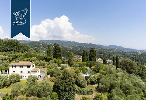 Cette splendide villa à vendre est située dans une position vallonnée à Sarzana, dans la province de La Spezia. Immergée dans un parc d'environ 3 hectares, elle est divisée en plusieurs niveaux et riche en verdure, avec des oliviers et des arbus...