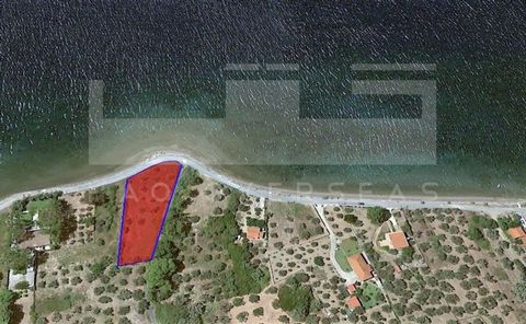Amazing seafront land in Evia island (Euboea) with great building capacity in a dreamy location. it is a 2.600sqm. buildable land in Northern Evia island, right in front of a beautiful long beach overlooking the sea and very near the breathtaking Lic...