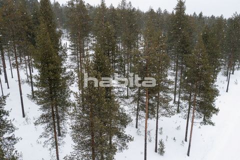 For Sale: 1/4 parcel of land in a property located 350 meters away from the Suomu Ski Resort on the arctic circle. These leisure building sites facing south have a preliminary estimated building right of approximately 216m² per site. We have virtual ...