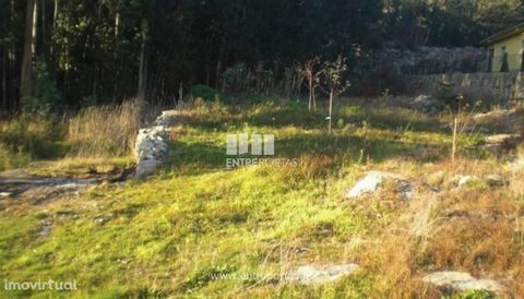 Walled land with 2,000 m2. Ref.: VCC10080 ENTREPORTAS Founded in 2004, the ENTREPORTAS group with more than 15 years, is a leader in real estate mediation in the markets in which it operates, offering a quality and innovative service. ENTREPORTAS rea...
