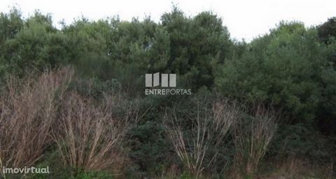 Land with an area of 200 m2. For construction. Area with good access. Ref.:5136 ENTREPORTAS Founded in 2004, the ENTREPORTAS group with more than 15 years, is a leader in real estate mediation in the markets in which it operates, offering a quality a...