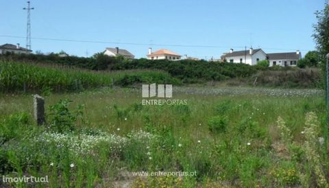 Land Sale, Vila Fria, Viana do Castelo. Land with an area of 2,000 m². Good sun exposure. Area with good access. Ref.: VCC09448 FEATURES: Land Area: 2 000 m2 Area: 2 000 m2 Useful Area: 2 000 m2 Energy Efficiency: Exempt ENTREPORTAS Founded in 2004, ...