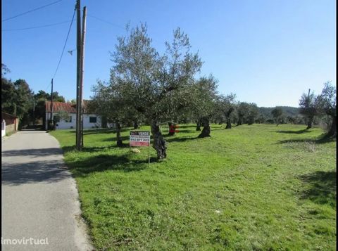 Land located next to a road with olive trees; It is only possible to build with the purchase of the land in its entirety (1600M2); For more information contact me!