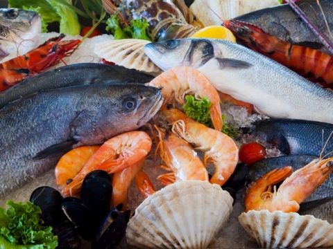 SEAFOOD WHOLESALE -- NEAR MOORABBIN -- #6019484 Wholesale seafood business * CLOSE TO MOORABBIN * Earn $8,000 for 6 days only * Ultra-low weekly rent of $220 for new leases * The same owner has been doing it for 7 years and is stable * The owner clai...