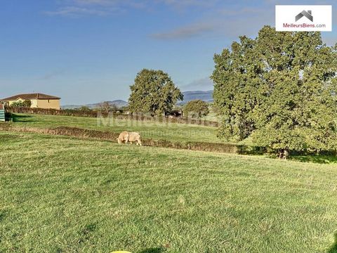 Dominique Calarco offers you this property: Discover this sublime building plot of 1200m², nestled in the quiet setting of the comune ''Les Bizots (71710)'', offered at the delicious price of 48500€! Nature lovers will fall under the spell of the cou...