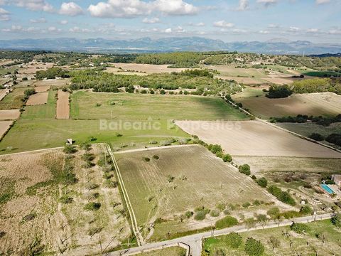 Countryside plot where you can build your dream home in Sineu This fantastic plot is offered for sale in a quiet location, right in the heart of the Sineu countryside, and enjoys picturesque 360 degree views as well as a convenient position just 5 mi...