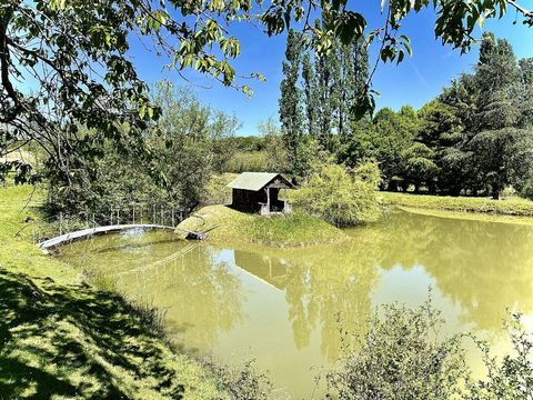 photo no. 7