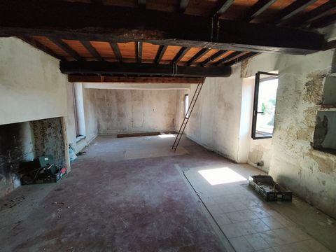 photo no. 6