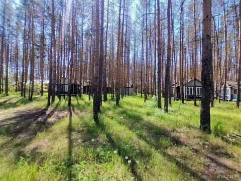 Продается туристическая база отдыха в сосновом бору, в экологически чистом, живописном районе, на берегу реки Кондурча. Самарская область, Красноярский район. Ближайший населенный пункт п. Кириллинский. Общая площадь: 54000 м2. Коммуникации: Газ, ото...