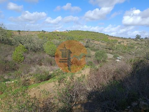 Rustic land with 13,120 m2, Torneiro, Alcoutim - Algarve. Land with good access. Open view of the Serra Algarvia. It confronts the Water Line. Close to electricity. Land with many trees. Just 10 minutes from the village of Alcoutim. About 25 minutes ...