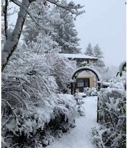 Geniet van ontspannende dagen in ons vakantieappartement in de prachtige Eifel midden in de natuur op een afgelegen perceel met grote tuin!