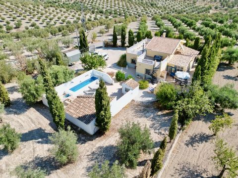 Set in the rolling countryside of Velez Rubio and surrounded by olive groves, this beautiful detached 3 bedroom, 2 bathroom villa offers tranquillity and privacy.   The local market town of Velez rubio is a 6 minute drive where you will find all amen...