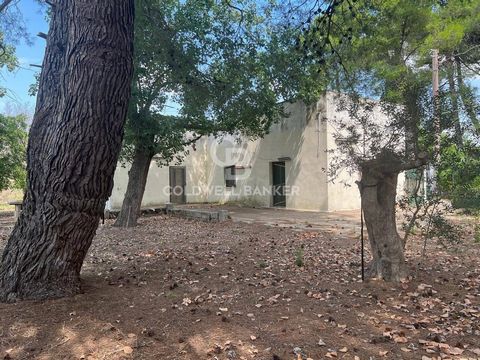 Bezaubernde Villa zum Verkauf in der Landschaft des Salento Cutrofiano, Contrada Sirgole Im Herzen der malerischen Landschaft des Salento, in Cutrofiano in Contrada Sirgole, präsentieren wir Ihnen eine einzigartige Gelegenheit: eine charmante Villa v...