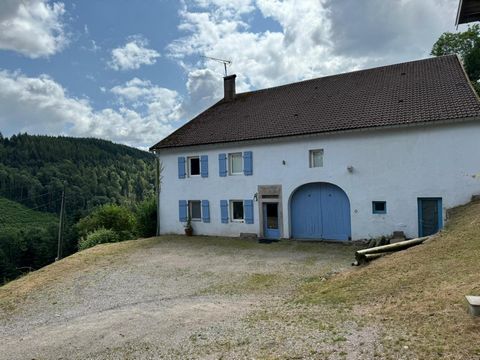 Située dans le charmant village de Girmont-Val-d'Ajol (88340), nommé « Le plus beau village des Vosges en 2022 », cette propriété bénéficie d'un environnement paisible au cœur de la nature vosgienne, avec un cadre préservé et authentique, sans vis-à-...