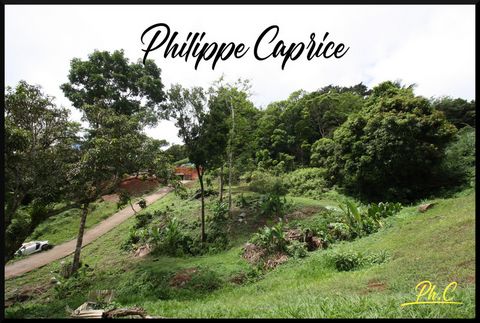 Dpt Martinique (972), à vendre SAINTE LUCE - Terrain de 2 868,00 m²