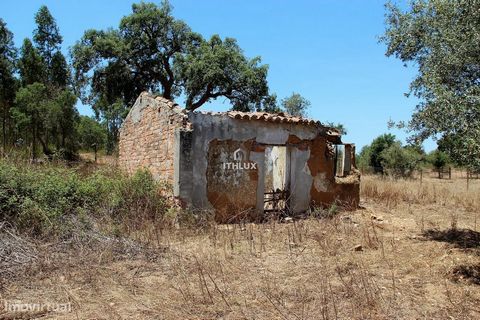 Kleine boerderij gelegen aan de kust van Alentejo Het is een stuk grond van 7.500 m2, met weinig reliëf en bebost met olijfbomen. Het heeft een ruïne met 66 m2, een put en een tank voor irrigatie. Het is ingevoegd in een gebied dat bestaat uit kleine...