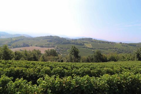 Zum Verkauf steht in Montabone in der Provinz Asti in den Hügeln und Weinbergen von Asti dieses landwirtschaftliche Unternehmen mit allen funktionierenden Strukturen, bestehend aus Wohngebäuden, Schuppen, Lagerhäusern, Kellern, Ställen und Grundstück...