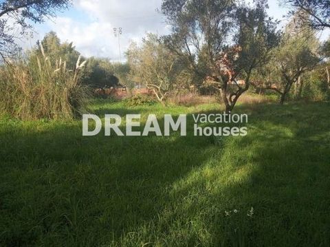 Description Tsilivi, Plot For Sale, 1.112 sq.m., Features: For development, Fenced, Water Bore, For Investment, On Corner, Distance from: Airport (m): 7000, Seaside (m): 1500, City (m): 2000, Price: 120.000€. Πασχαλίδης Γιώργος Additional Information...