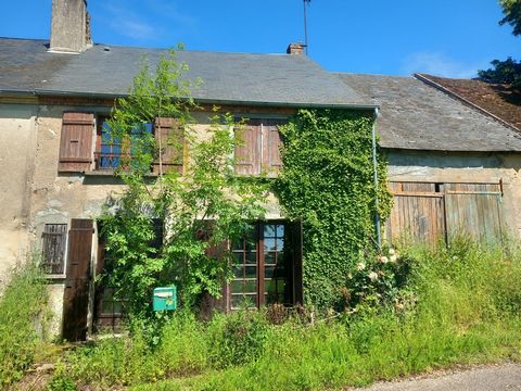 Groot dorpshuis, halfvrijstaand aan één kant, gelegen in het hart van het dorp met uitzicht op het omliggende platteland. 5 minuten van Cercy La Tour waar winkels, scholen en SNCF-station zich bevinden. Het bestaat op de begane grond: entree keuken, ...