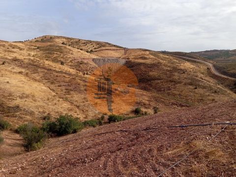 Terreno rústico, situado no sítio da Galharda-Conceição de Tavira. Tem plantação de alfarrobeiras com rega, sendo que a água é transportada de uma barragem a cerca de 300m. Está completamente limpo, acesso terra batida em bom estado, exposição solar ...