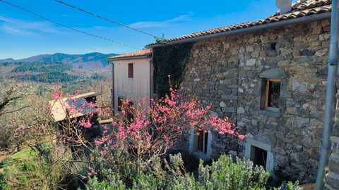 Dans les hauteurs de Jaujac, un village animé doté de commerces, d'une école, d'une structure médicale, et d'un marché bihebdomadaire, cette maison en pierre et bois s'élève, offrant une vue panoramique sur Jaujac et ses alentours. La terrasse, vérit...