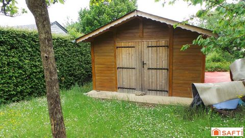 photo no. 8