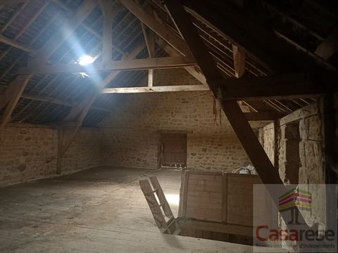 photo no. 11