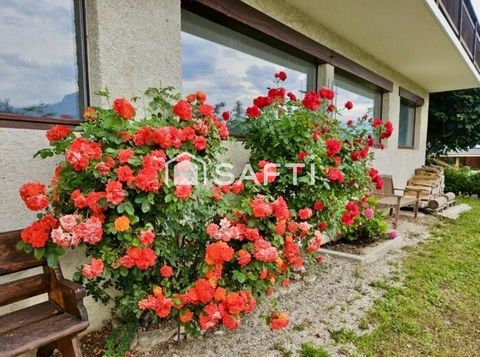 photo no. 11