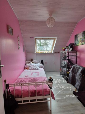photo no. 13