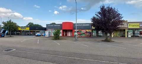 photo no. 10