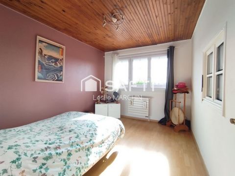 photo no. 11