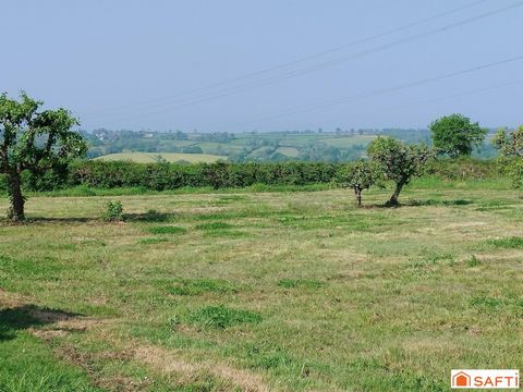 photo no. 4