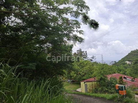 photo no. 2