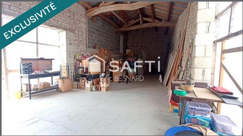 photo no. 13