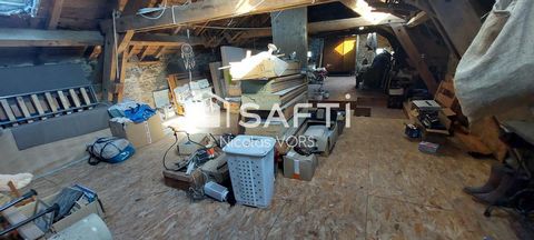 photo no. 16