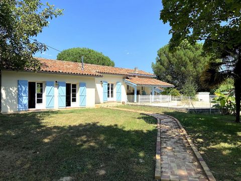 photo no. 13