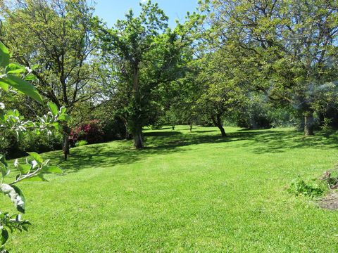photo no. 12