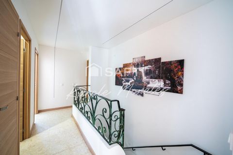 photo no. 9