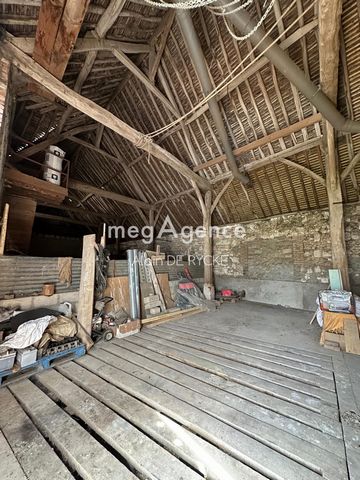 photo no. 8