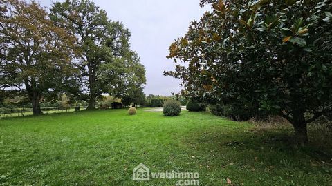 photo no. 19