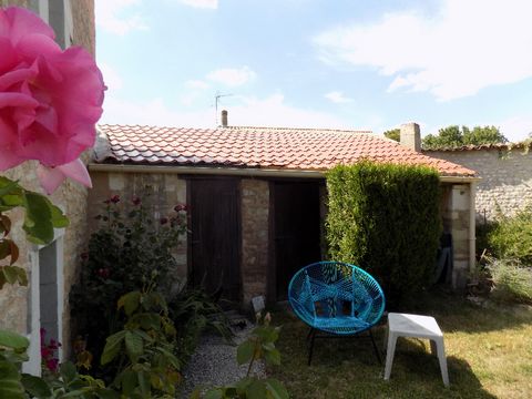 photo no. 2