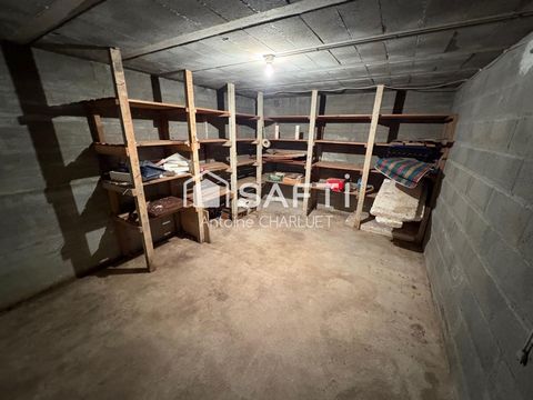 photo no. 12
