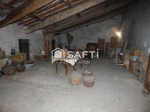 photo no. 9