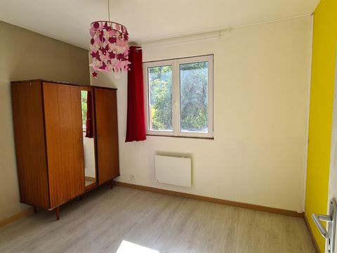 photo no. 11