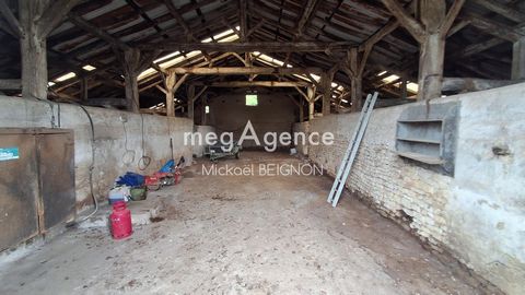 photo no. 12